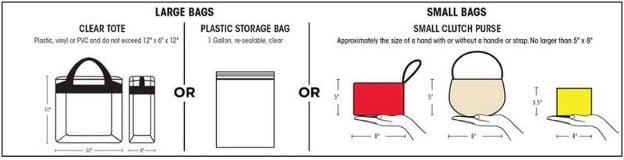 infographic demonstrating allowed bags