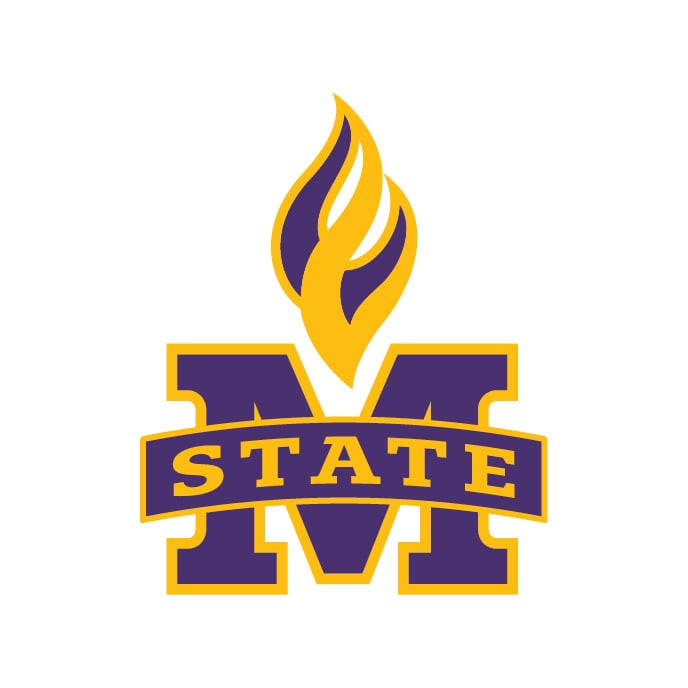 M State Icon for MSU