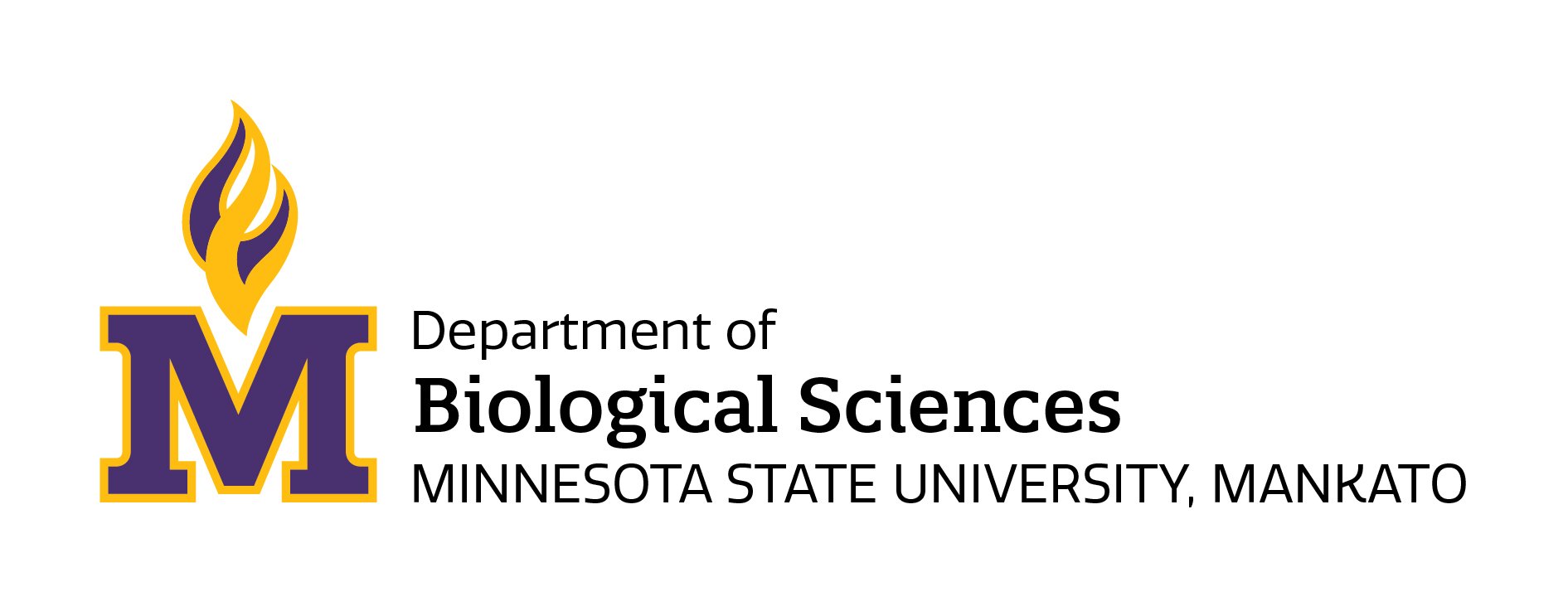 department horizontal lock up with department of on the top name of department in the middle and name of university on the bottom