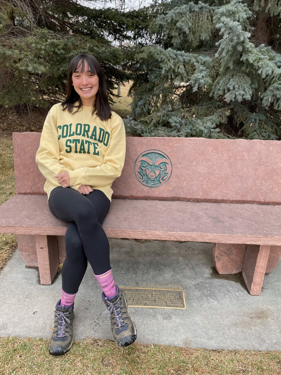 a person sitting on a bench