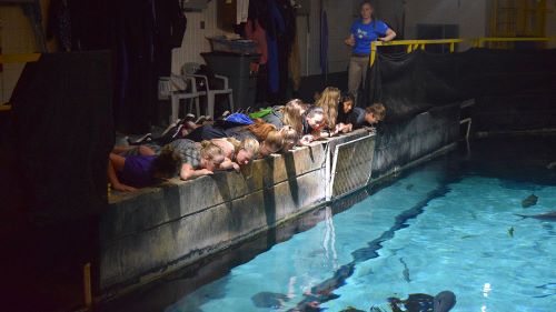 ETS students getting a close up look at a dolphin during a tour of the MN zoo